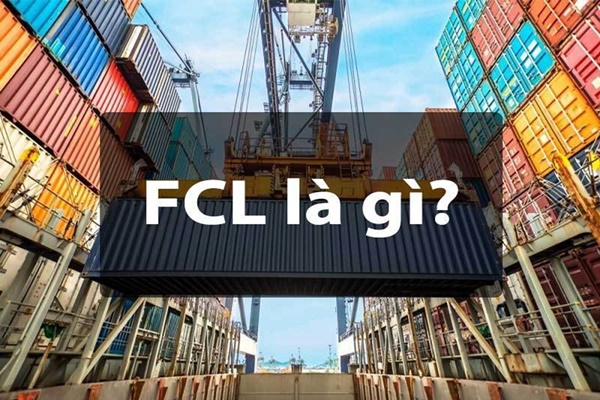 FCL là gì? Phân biết sự khác nhau giữa FCL và LCL